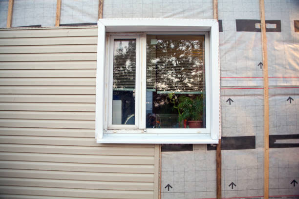 Best Shed Removal  in Sheridan, IL