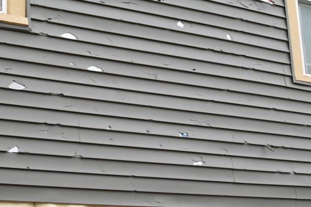 Best Same-Day Junk Removal Services  in Sheridan, IL