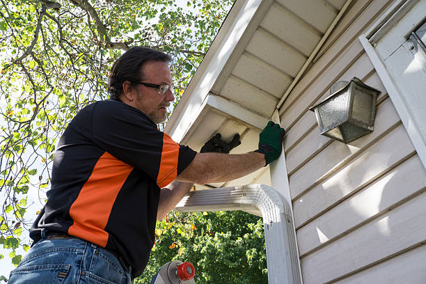 Best Carpet Removal and Disposal  in Sheridan, IL